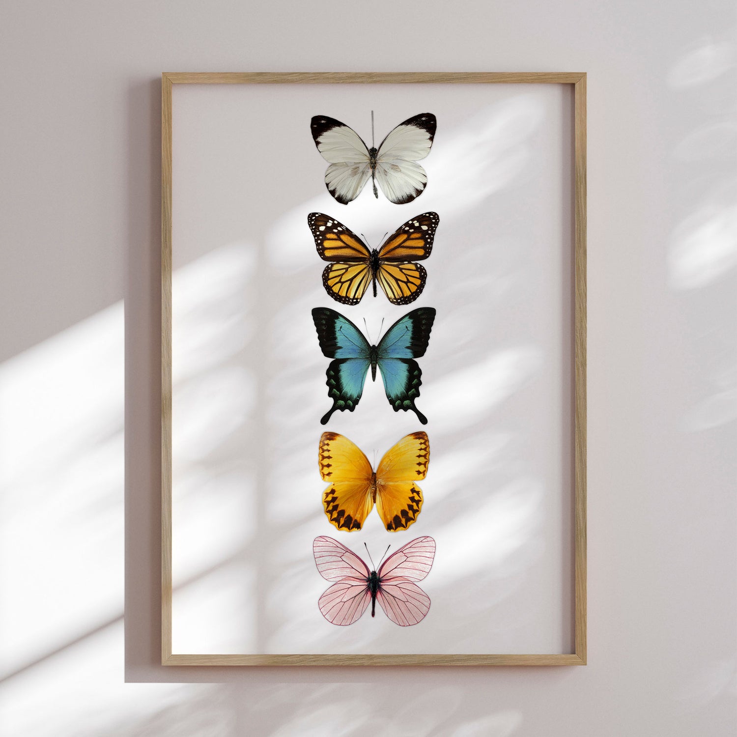 Plakat - Butterflies - Incado