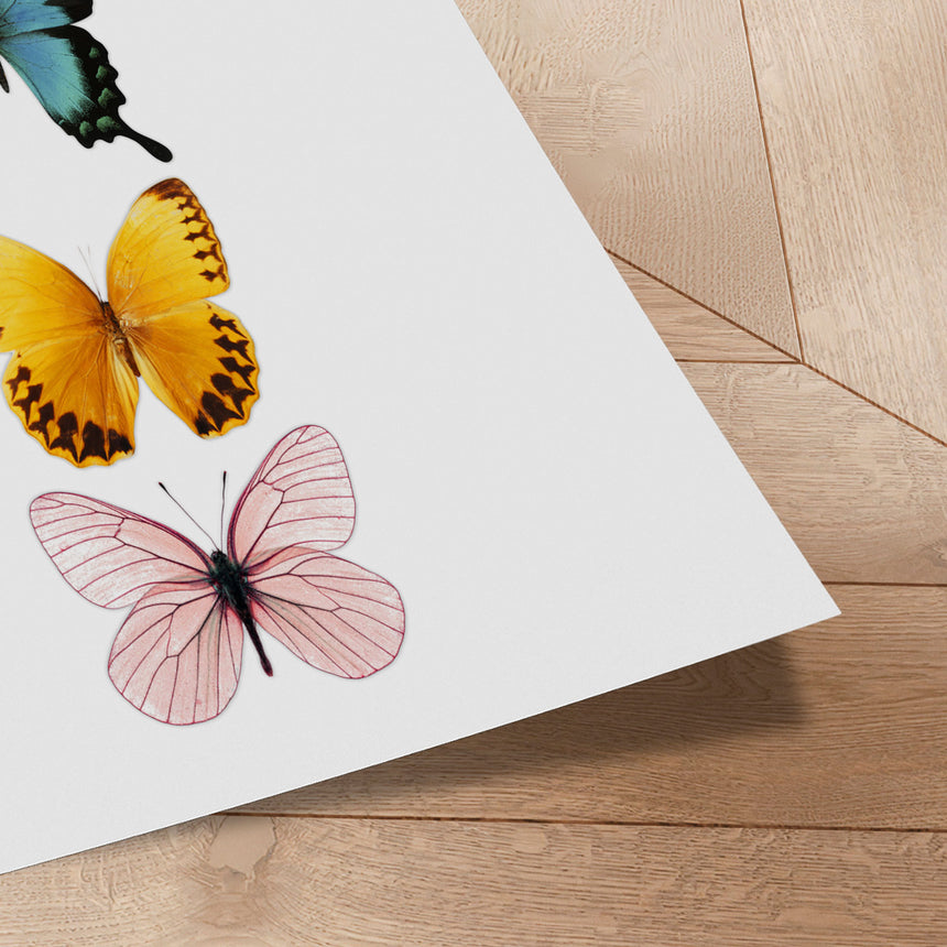 Plakat - Butterflies - Incado