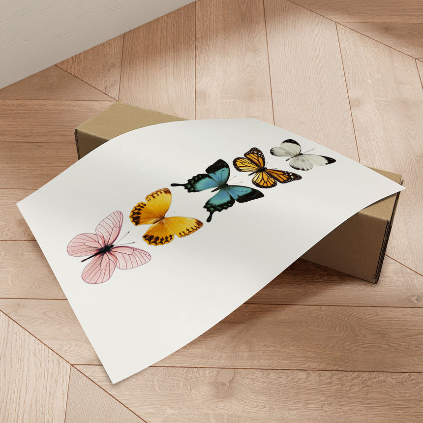 Plakat - Butterflies - Incado
