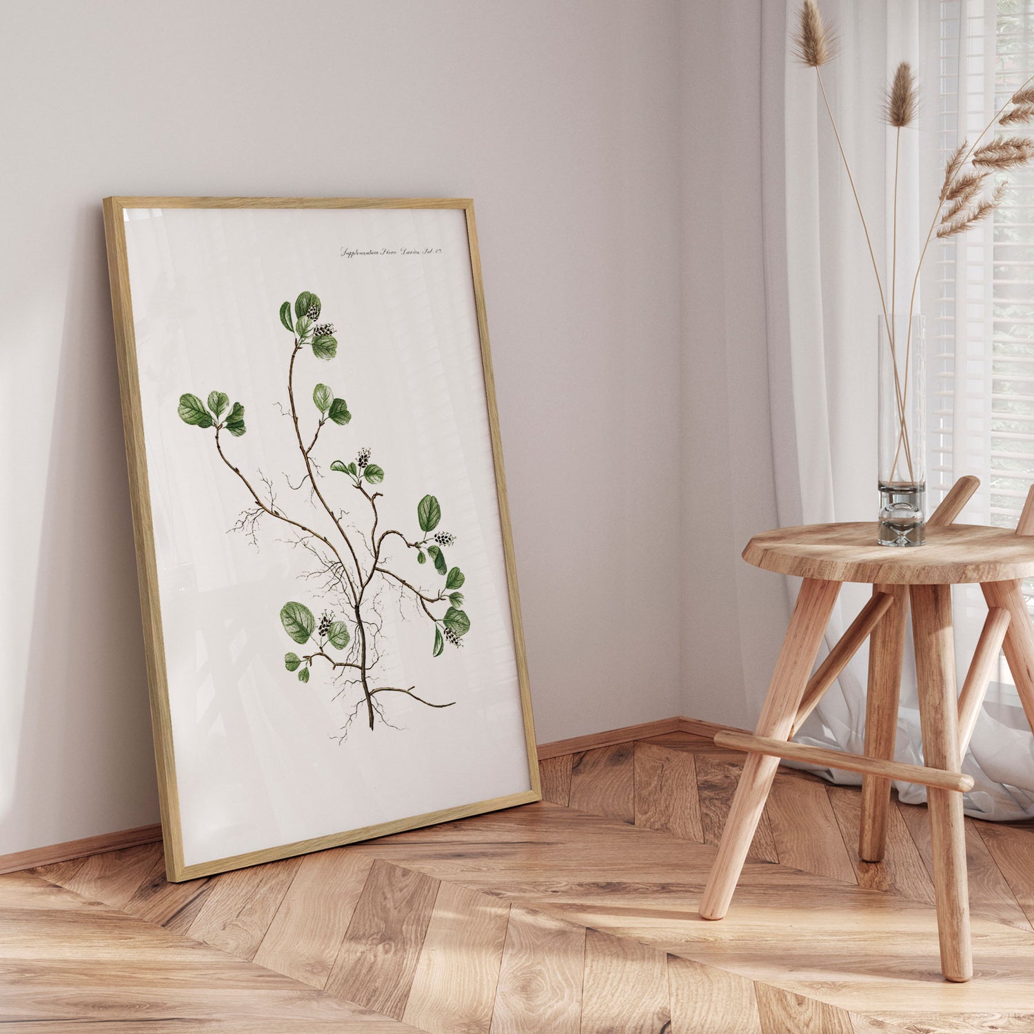 Plakat - Flora Danica 10 - Incado