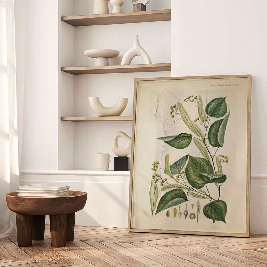 Plakat - Flora Danica 12 - Incado