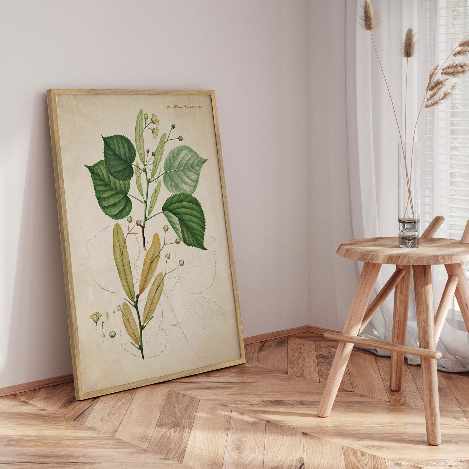 Plakat - Flora Danica 13 - Incado