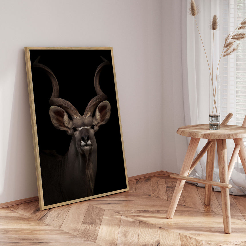 Plakat - Majestic Kudu - Incado