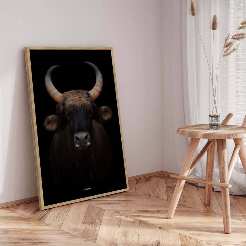 Plakat - Great Buffalo - Incado