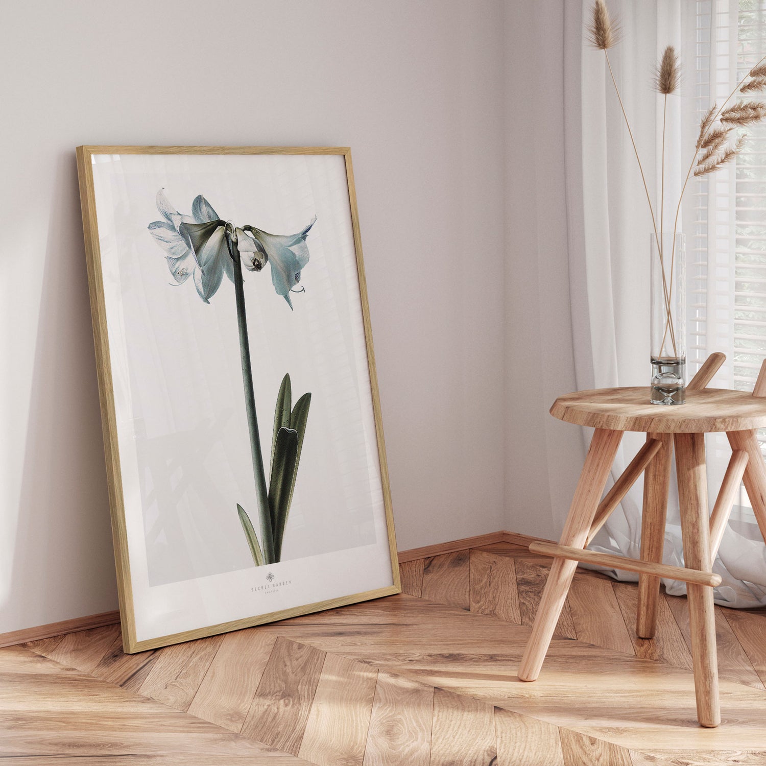 Plakat - Amaryllis - Incado