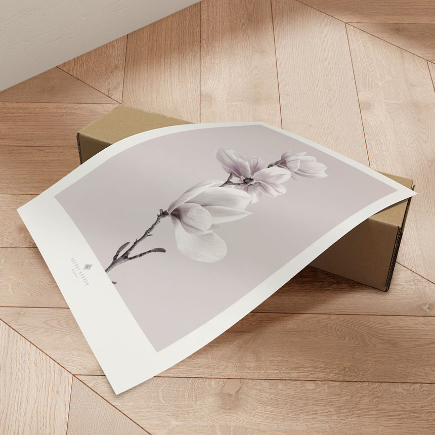 Plakat - Magnolia I - Incado