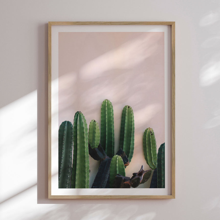 Plakat - Naked Cactus - Incado