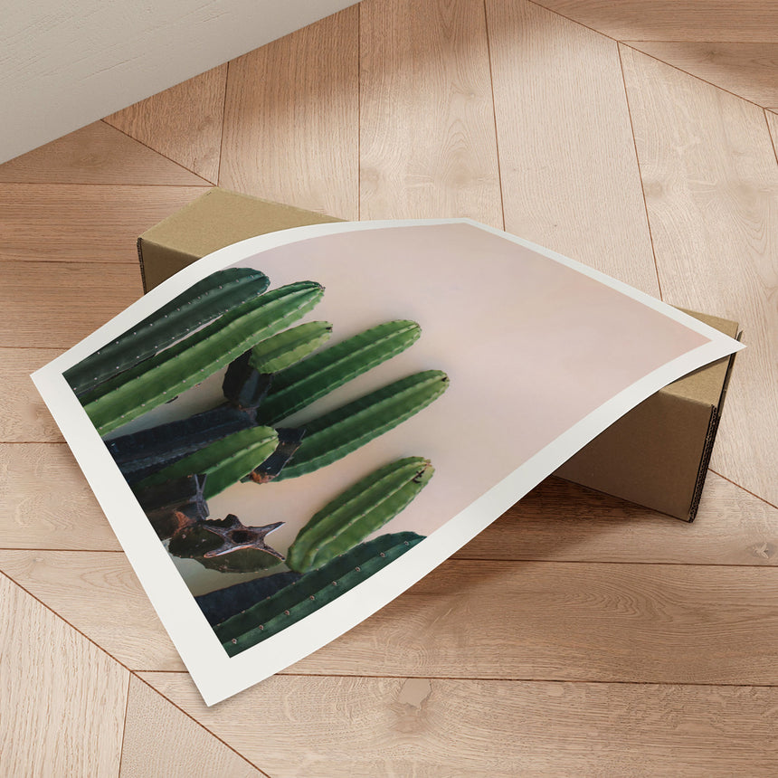 Plakat - Naked Cactus - Incado