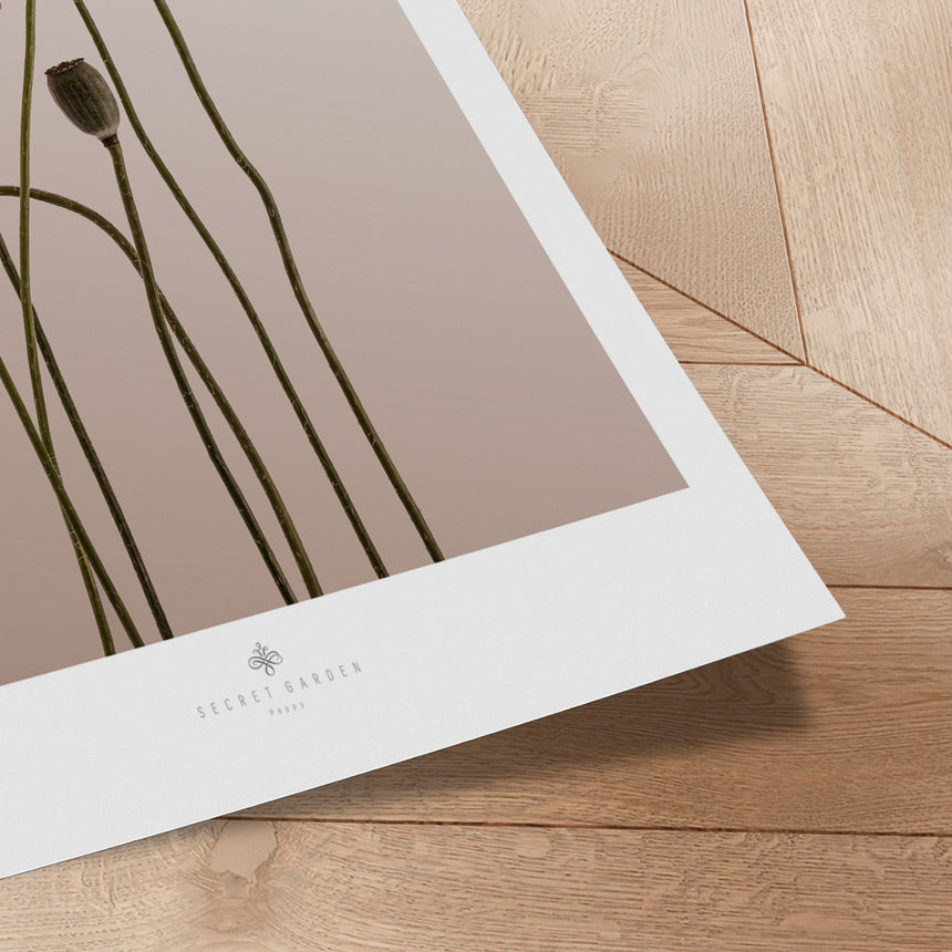 Plakat - Poppy - Incado