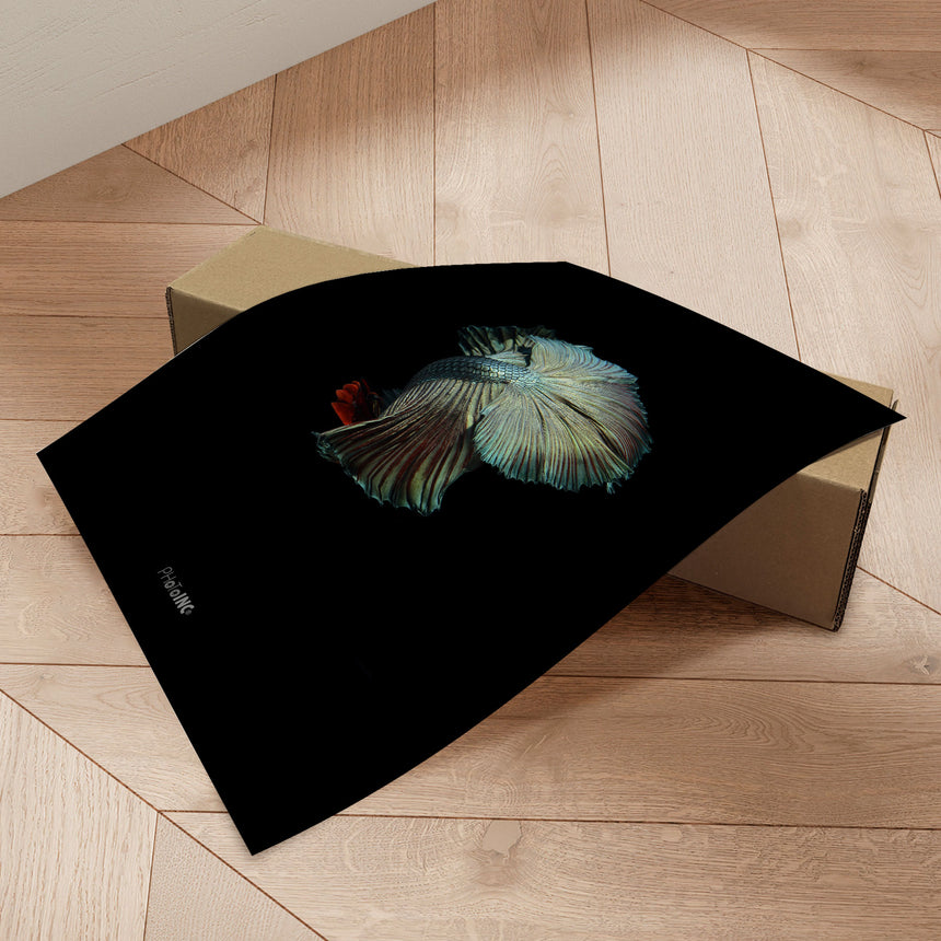 Plakat - Green King Fish - Incado