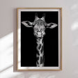 Plakat - Giraffic - Incado