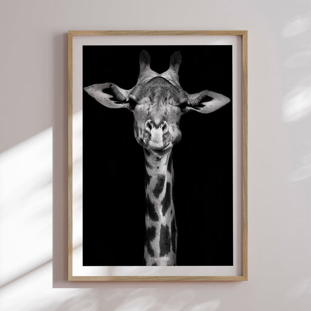 Plakat - Giraffic - Incado