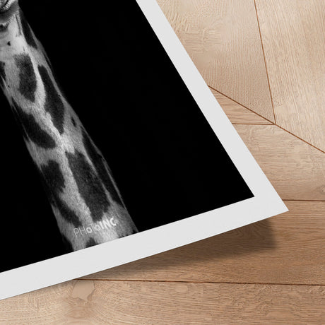 Plakat - Giraffic - Incado