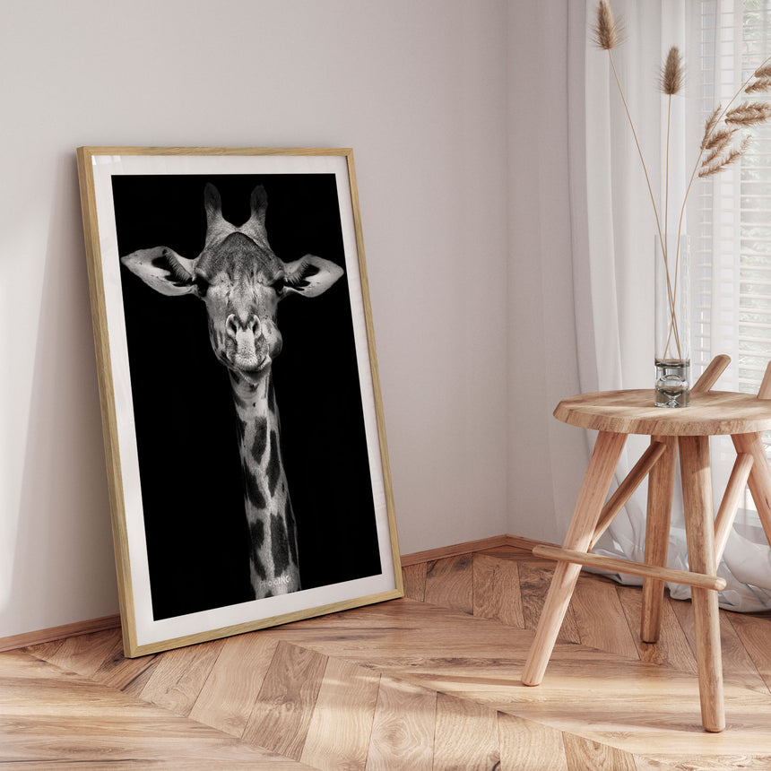 Plakat - Giraffic - Incado