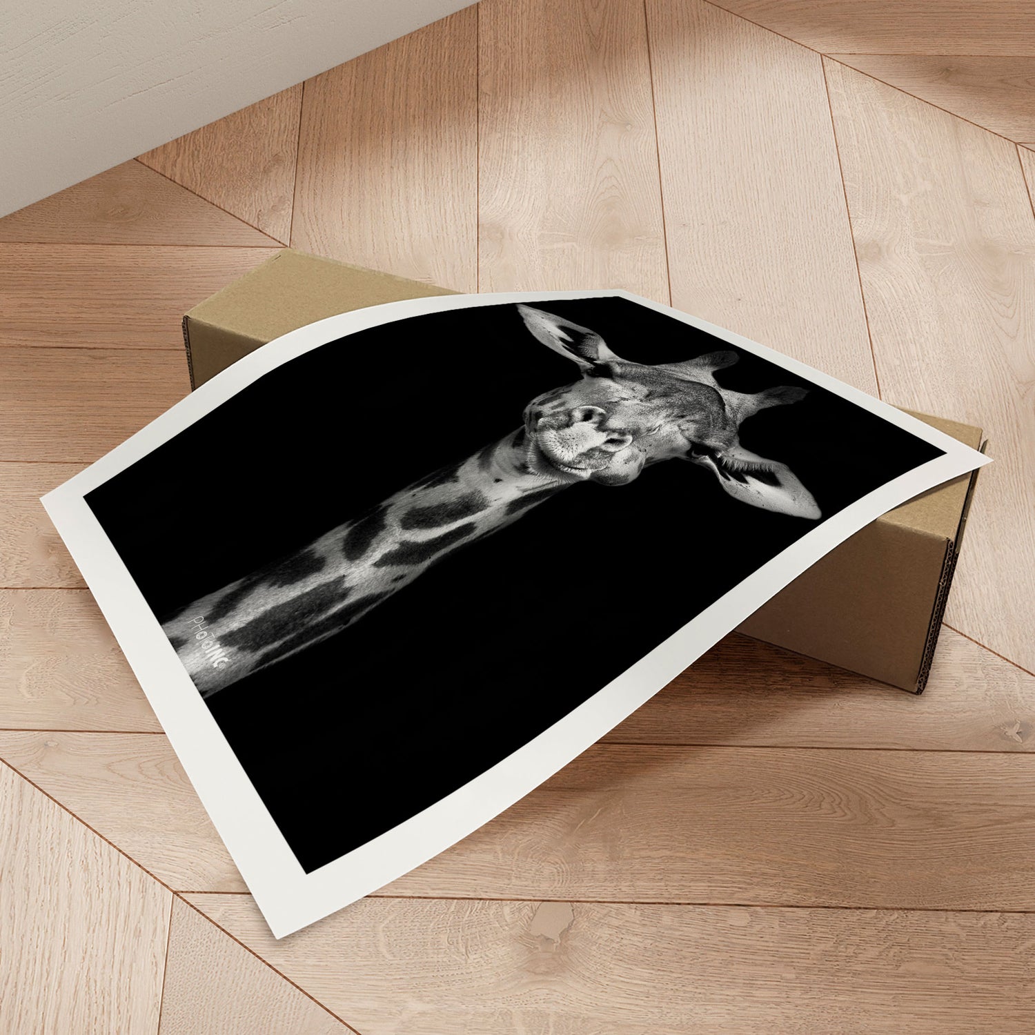 Plakat - Giraffic - Incado