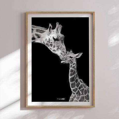 Plakat - Kiss - Incado