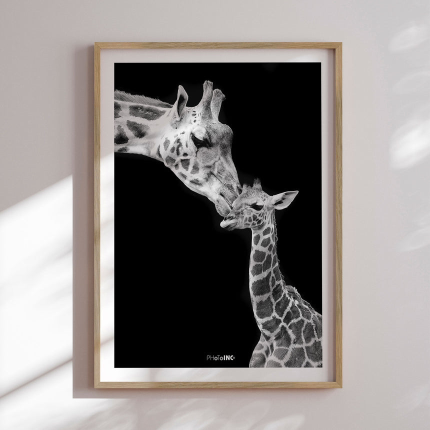 Plakat - Kiss - Incado