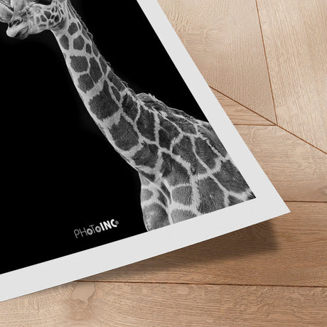 Plakat - Kiss - Incado