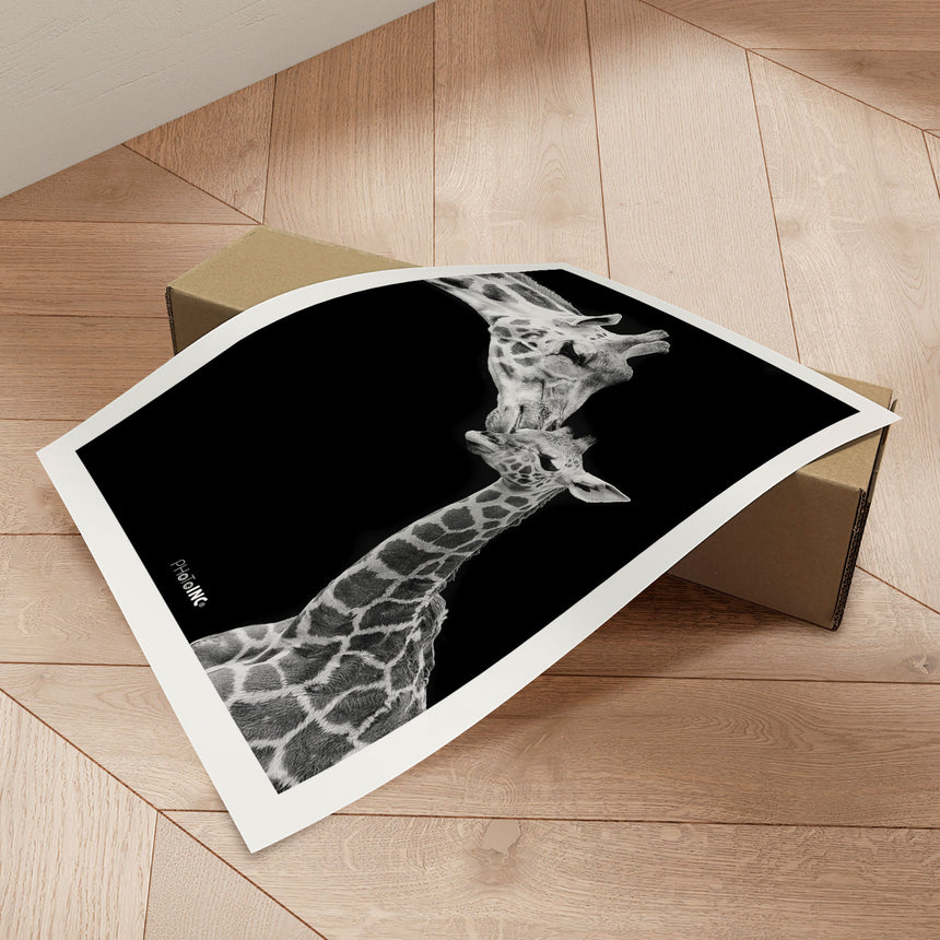 Plakat - Kiss - Incado