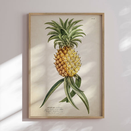 Plakat - Ananas - Incado
