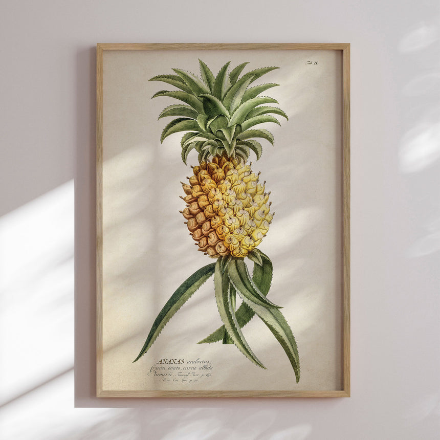 Plakat - Ananas - Incado