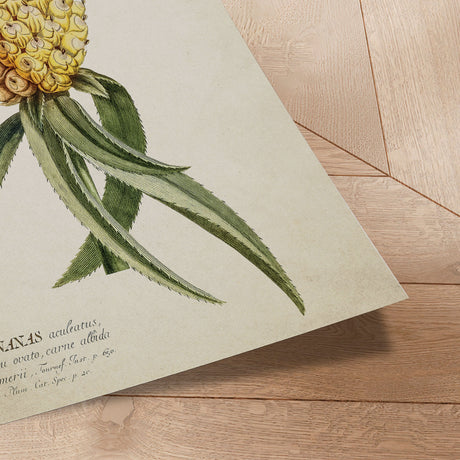 Plakat - Ananas - Incado