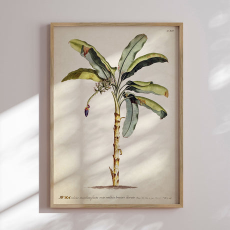 Plakat - Palm - Incado