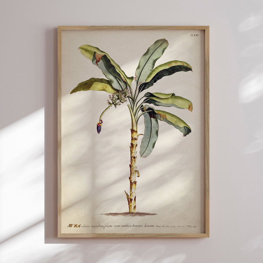 Plakat - Palm - Incado