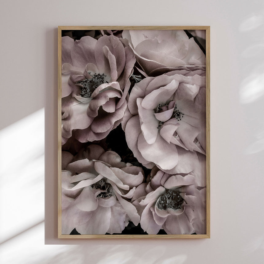 Plakat - Pastel Rose - Incado