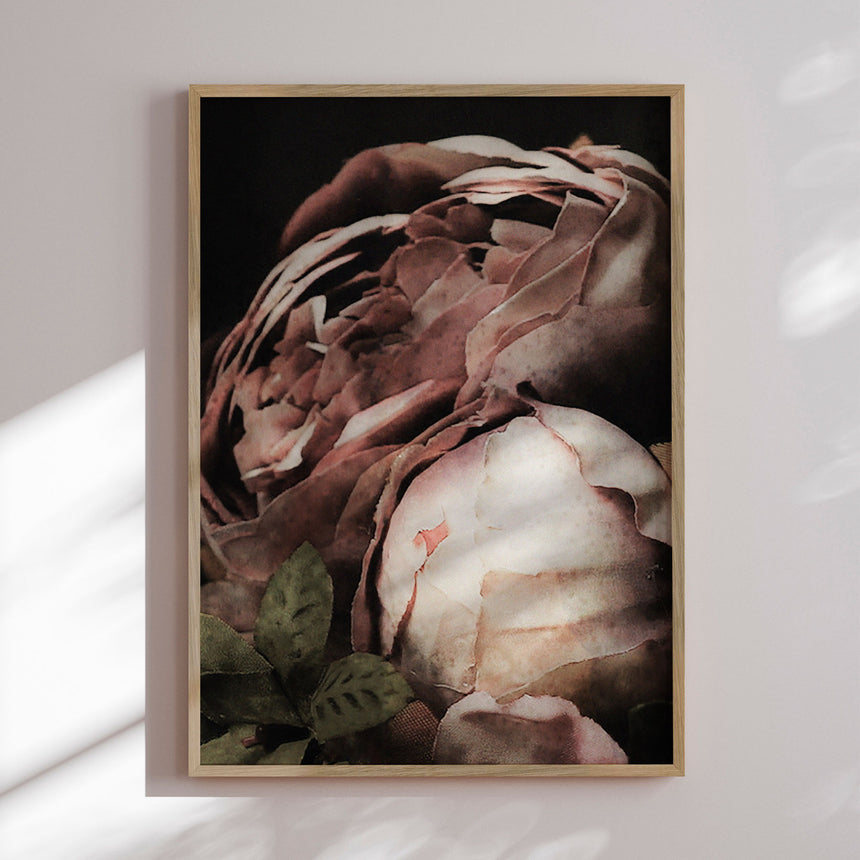 Plakat - Roses - Incado