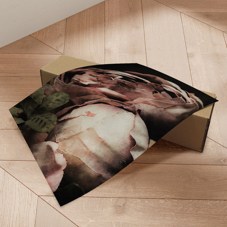 Plakat - Roses - Incado