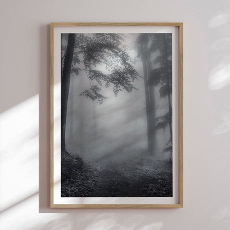 Plakat - Misty Forest - Incado