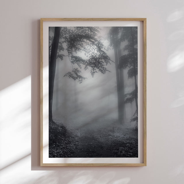 Plakat - Misty Forest - Incado