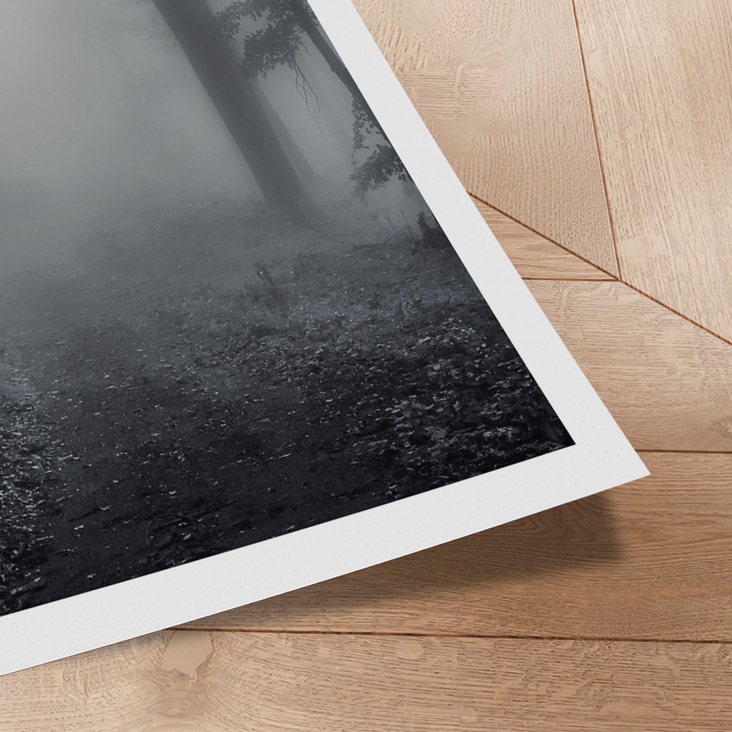 Plakat - Misty Forest - Incado