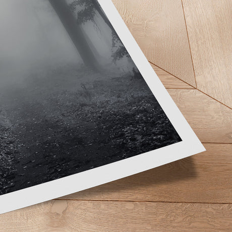 Plakat - Misty Forest - Incado