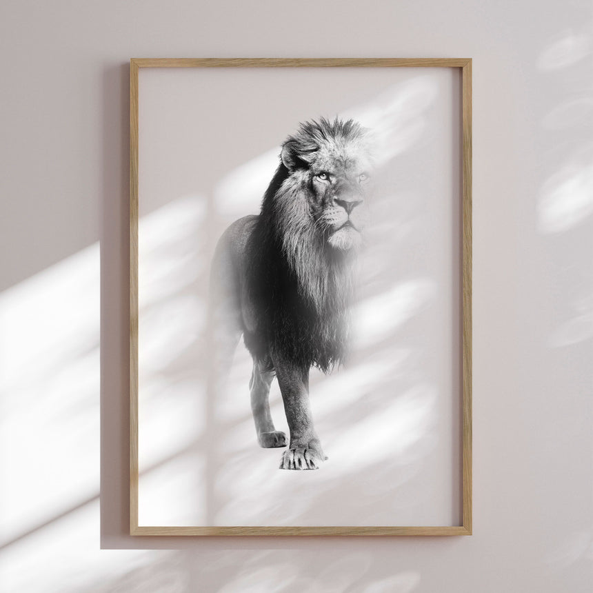 Plakat - Lion - Incado