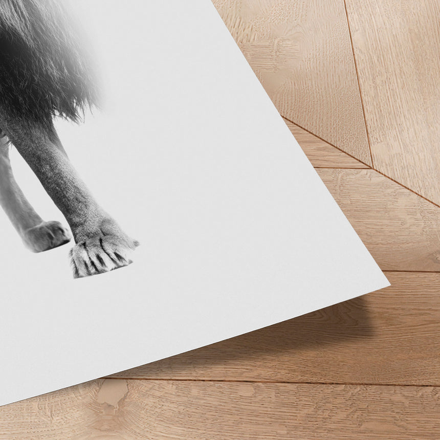 Plakat - Lion - Incado