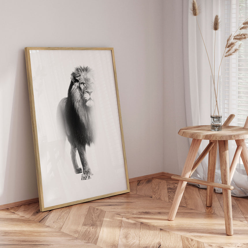 Plakat - Lion - Incado