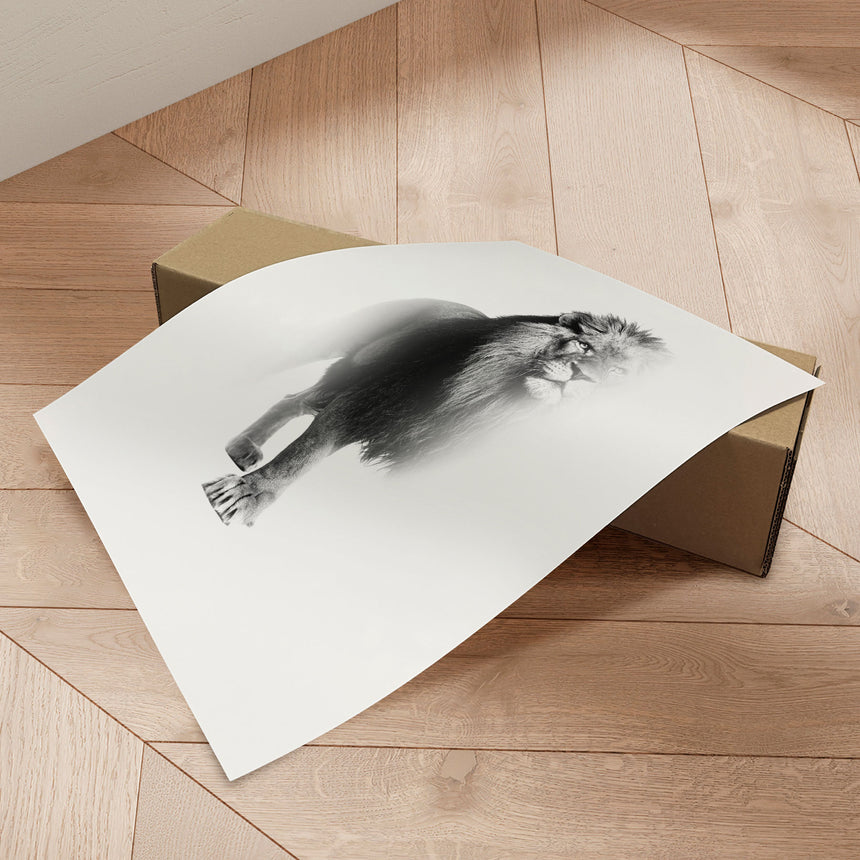 Plakat - Lion - Incado