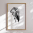 Plakat - Elephant - Incado