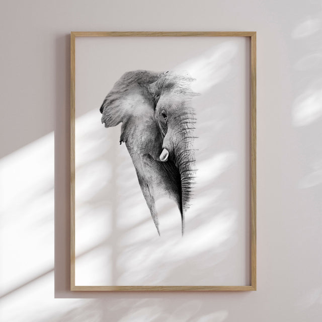 Plakat - Elephant - Incado