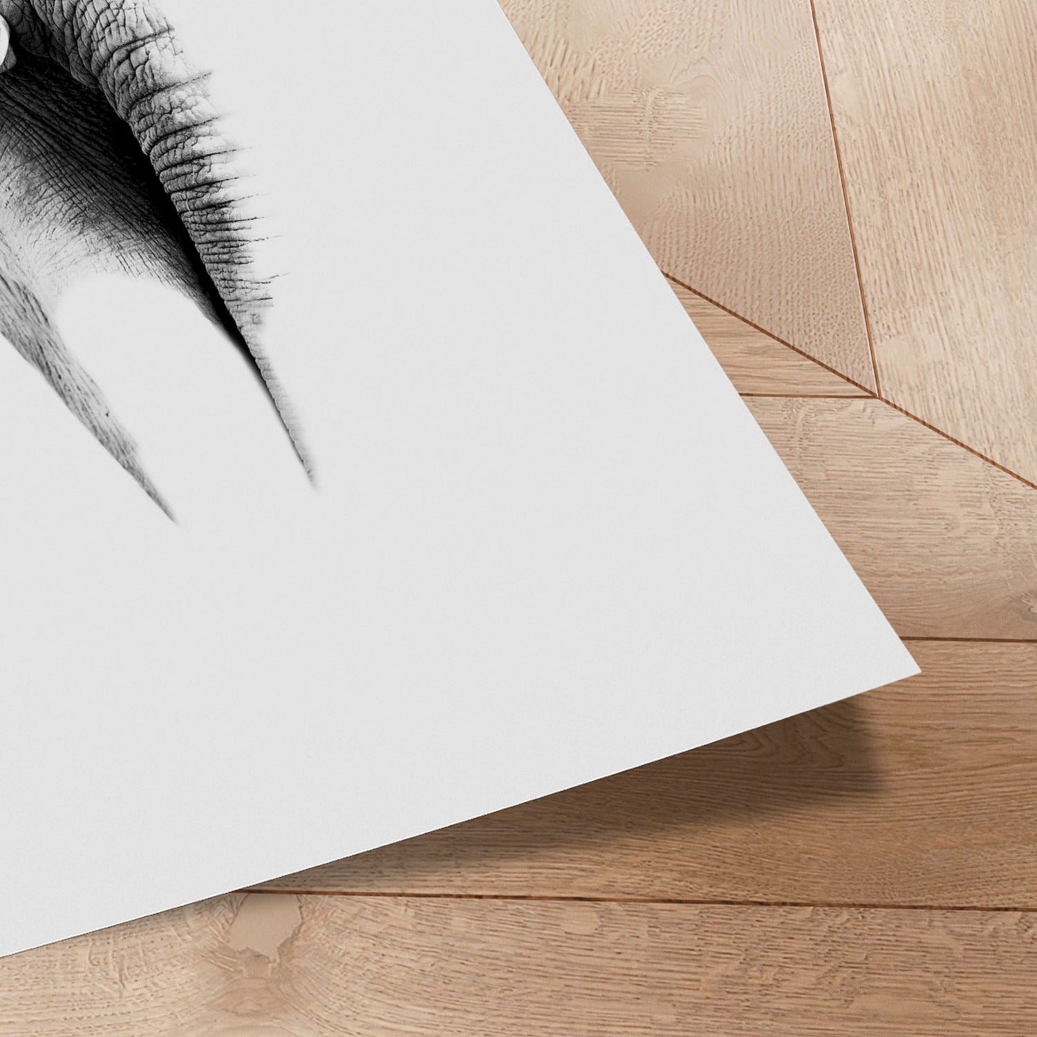 Plakat - Elephant - Incado