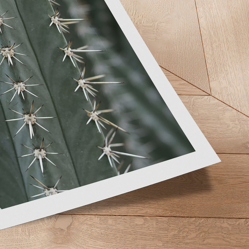 Plakat - Cactus - Incado