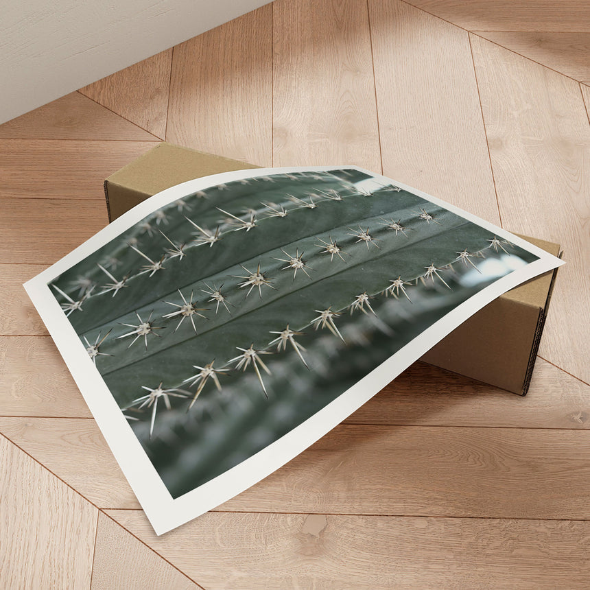 Plakat - Cactus - Incado