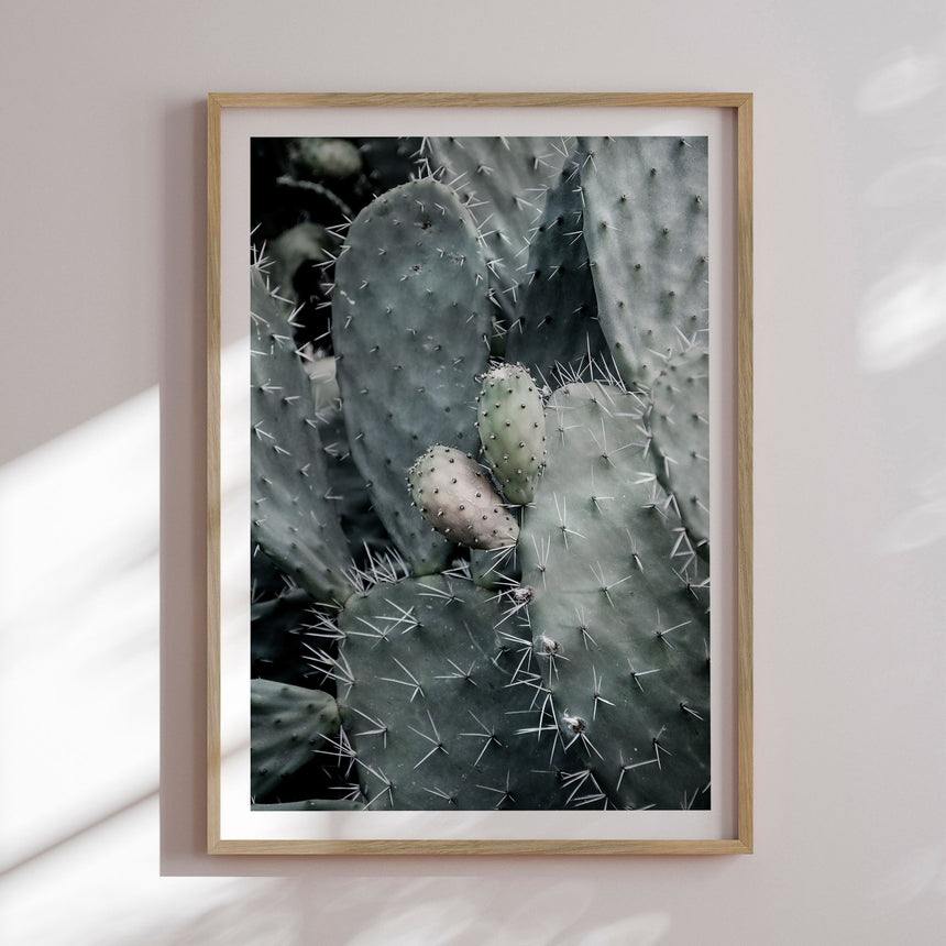 Plakat - Sticky - Incado