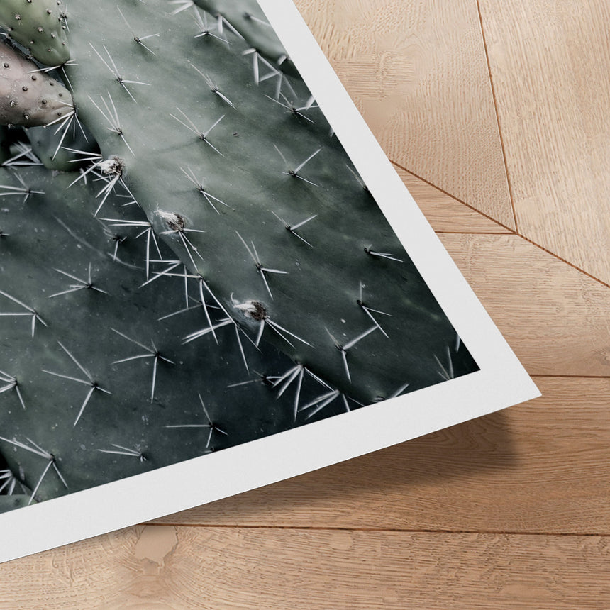 Plakat - Sticky - Incado