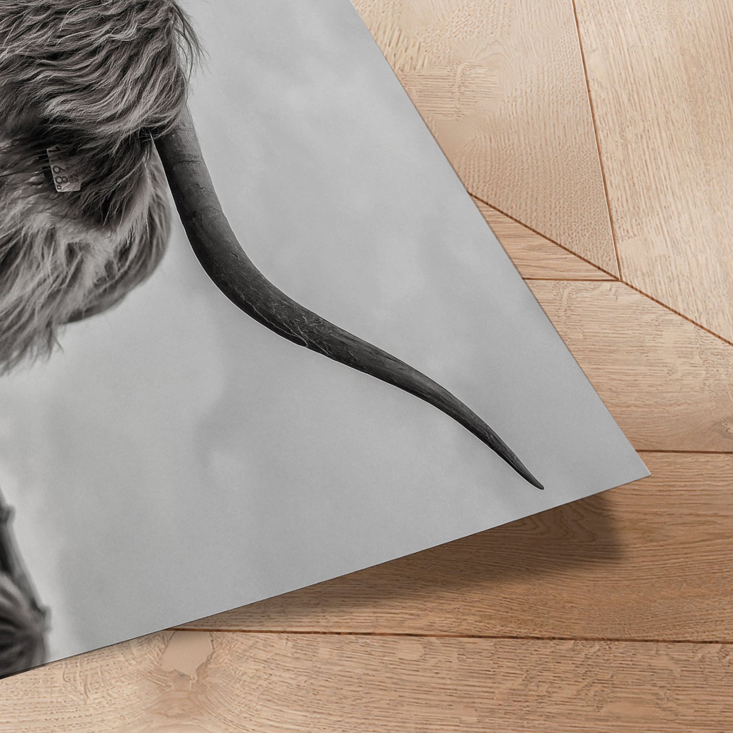 Plakat - Hello - Incado