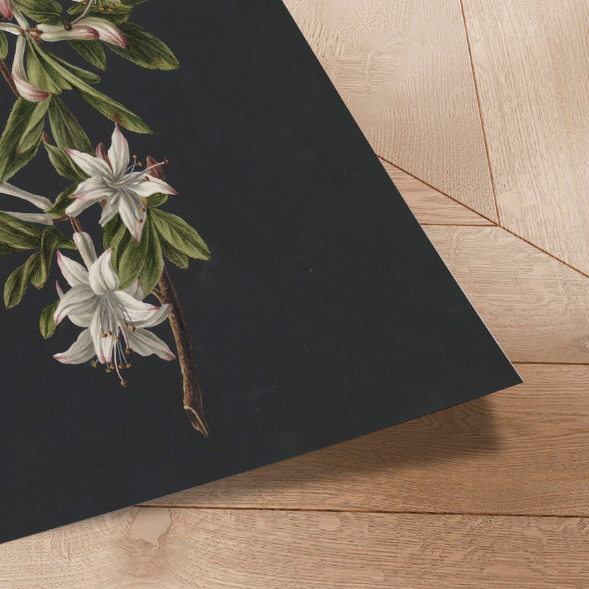 Plakat - Flower Colony - Incado