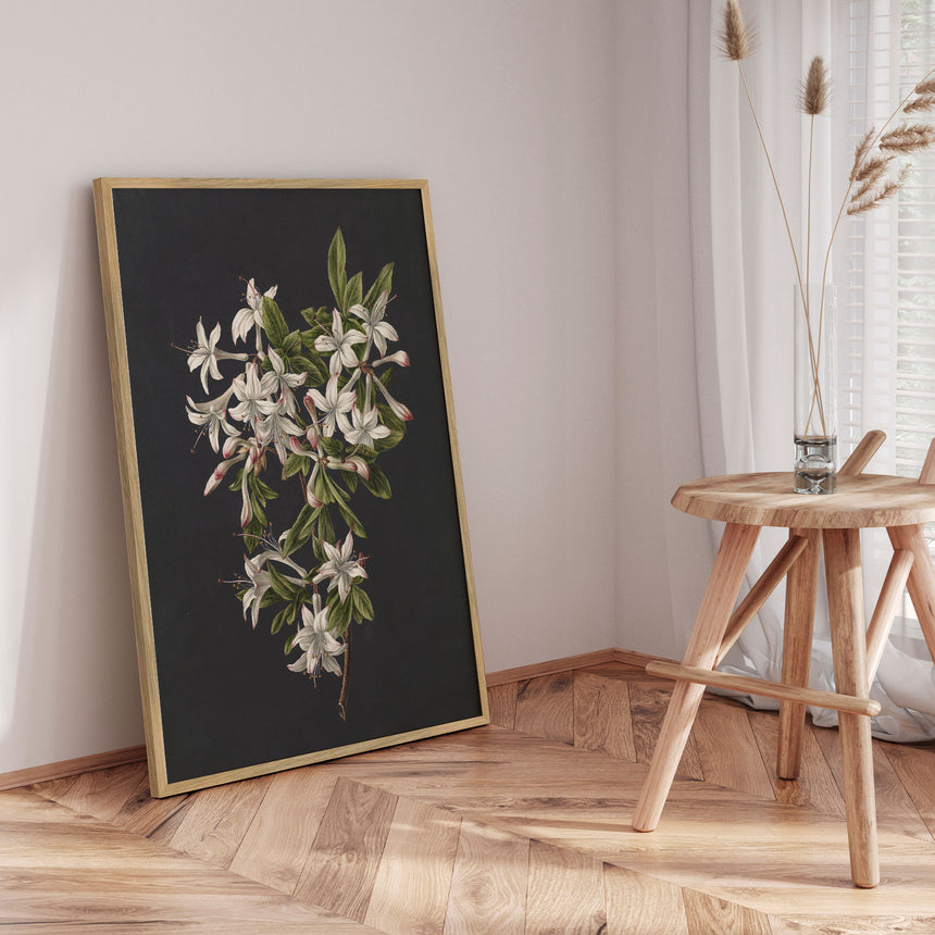 Plakat - Flower Colony - Incado