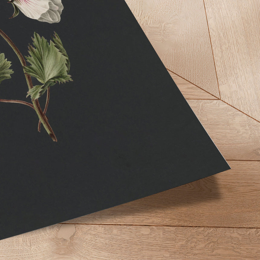 Plakat - White Flowers - Incado